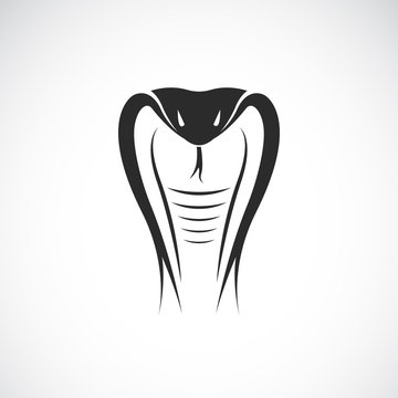 Vector of snake head design on white background. Animals. Reptile. Cobra logo or icon. Easy editable