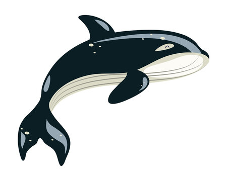 killer whale icon